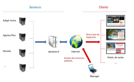 Architecture Dynalive
